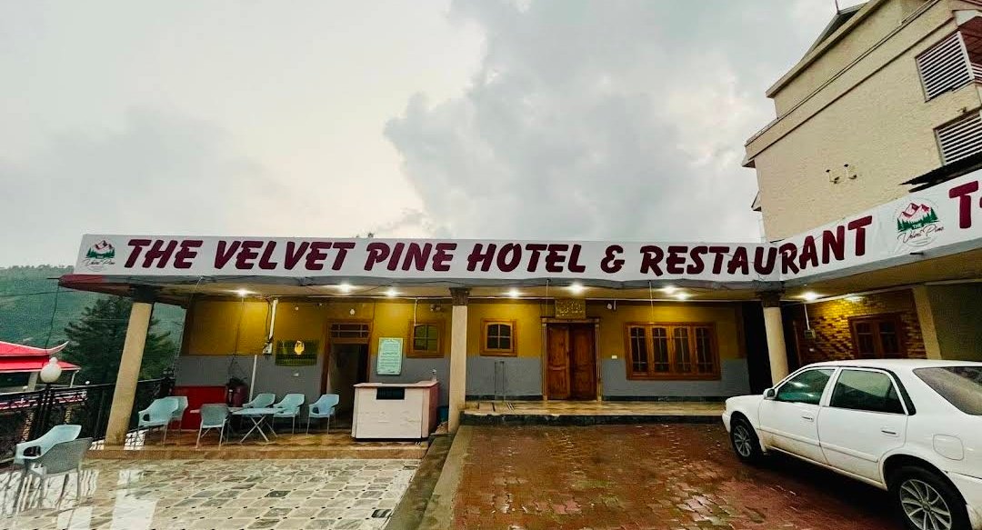 Velvet Pine Hotel