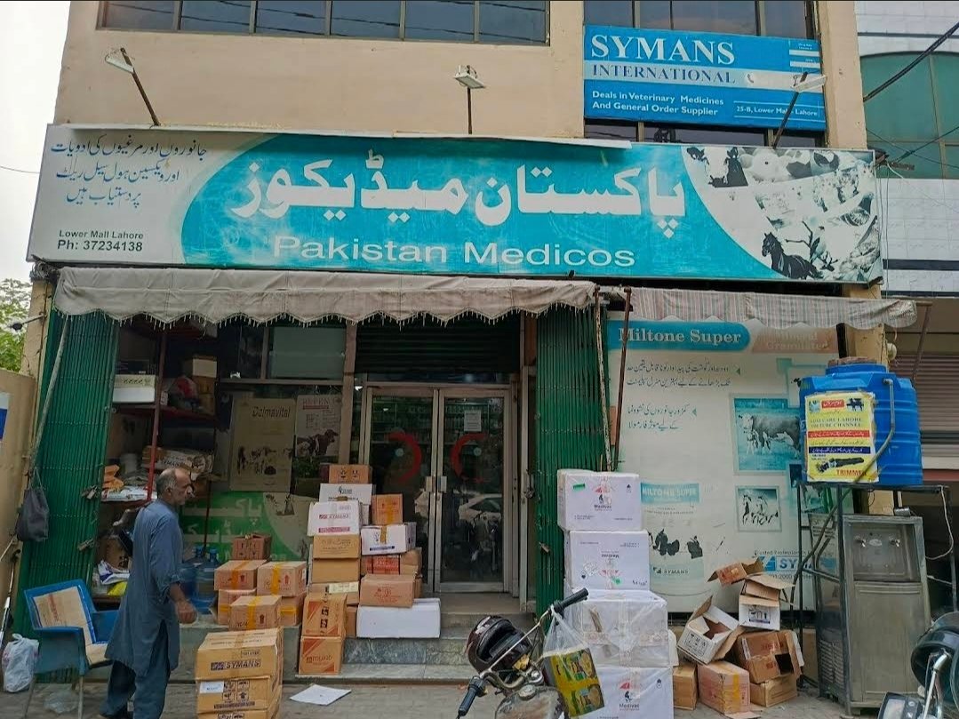 Pakistan Medicos