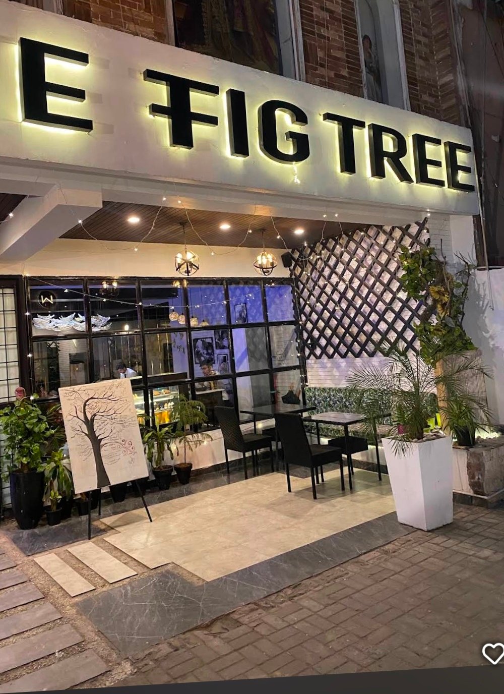 The fig tree